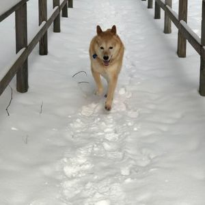 Meet your Posher, Kristie